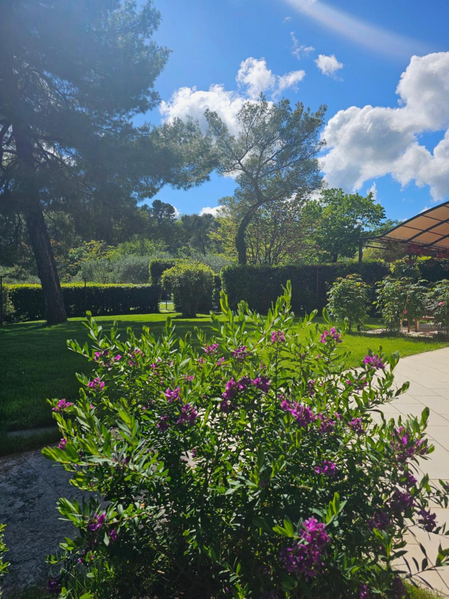Villa Monacelli B&B Fano Eksteriør bilde